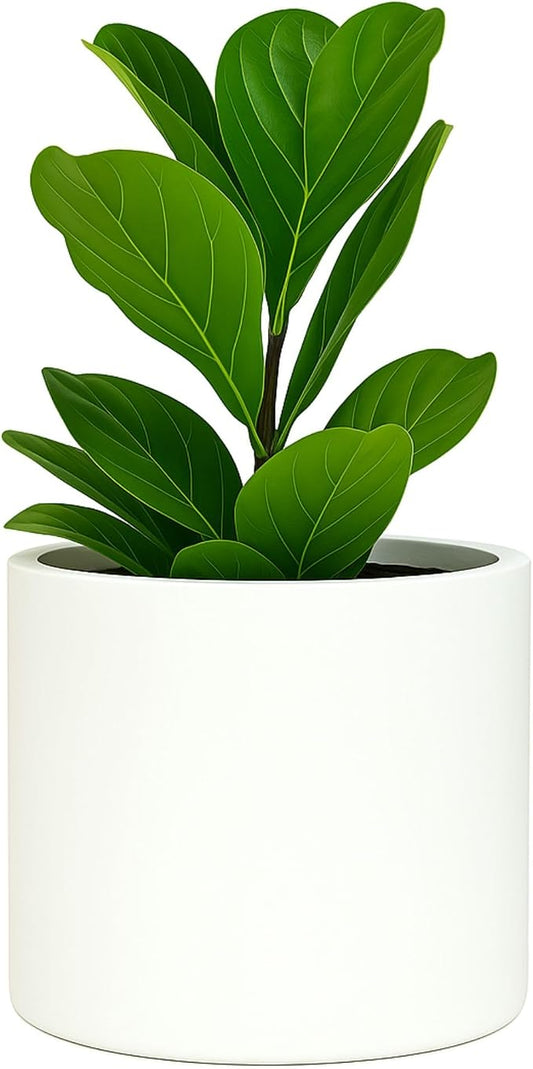 Fox & Fern Large Indoor Planter, Modern Large Plant Pot for Indoor or Outdoor, UV and Frost Resistant - 8 Inch, Matte White Flower Pot with Drainage Plug, Lightweight