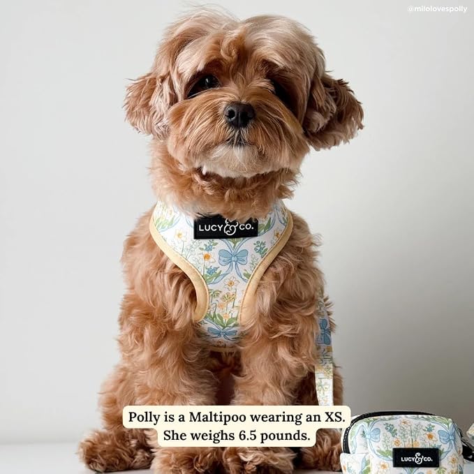 Lucy & Co. Reversible Dog Harness - Water-Repellent Neoprene, Dual-Print Design, Easy Swap Style, Adjustable Comfort Fit - Sunshine Daffodils Reversible Harness - Large