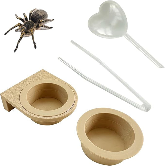 2 PCS Jumping Spider Feeding Dish (1 Detachable with Magnet and 1 for Replacement), Tiny Food Dishes Water Dish for Spider, Tarantula and Other Small Pets Jumping Spider Accessories