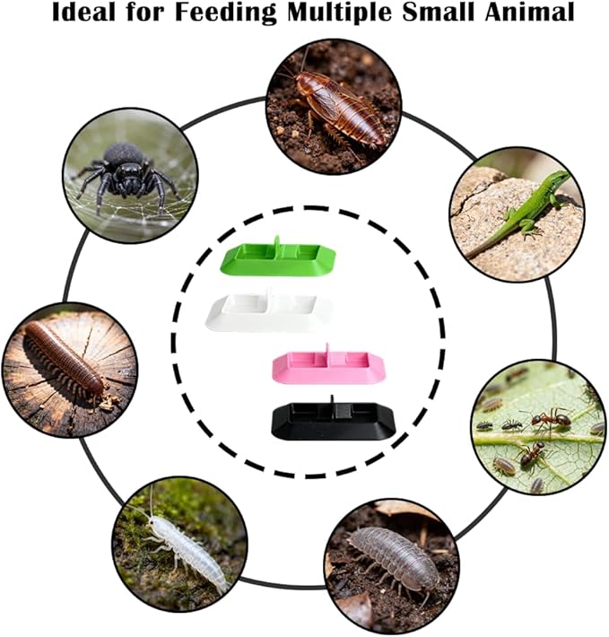 4PCS Dual Isopod Feeding Dish – Tiny Water & Food/Dry & Wet Feeder Bowl for Spiderlings, Juvenile Tarantula, Small Reptiles & Dubia Roaches– Vivarium Accessor
