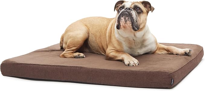 BarkBox Orthopedic Dog Bed - Medium | with Memory Foam - Comfortable, Durable & Machine Washable Pet Bed - Espresso