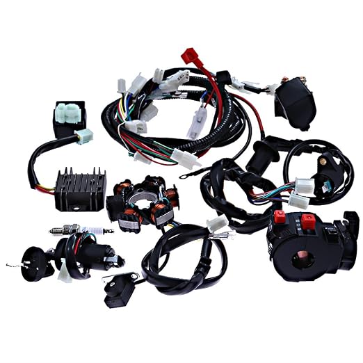 Hoypeyfiy Complete Electric Wiring Harness Wire Magneto Stator for GY6 150cc Performance Parts 4-Stroke Engine 125cc 150cc Pit Bike Scooter ATV Quad