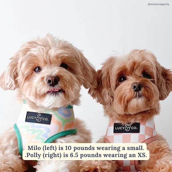 Lucy & Co. Reversible Dog Harness - Water-Repellent Neoprene, Dual-Print Design, Easy Swap Style, Adjustable Comfort Fit - Just Chill Reversible Harness - Small