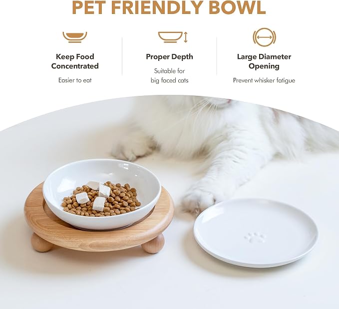 Havniva Elevated Cat Bowls, Cat Food and Water Bowl Set, Ceramic Cat Bowl | Raised Cat Food Bowls, Whisker Friendly, 5.6” Shallow Cat Dishes + 6” Wide Cat Plates, Non-Slip Wood Stand, Two Heights
