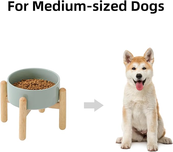 Havniva Elevated Dog Bowls Ceramic Dog Bowls with Stand, Dog Food Bowl | 6.1” Raised Dog Bowls with Non-Slip Wood Stand, Dog Food and Water Bowl Set, Dog Feeding Bowls for Small & Medium Dogs