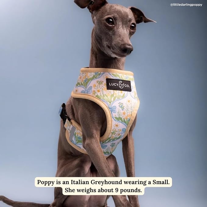 Lucy & Co. Reversible Dog Harness - Water-Repellent Neoprene, Dual-Print Design, Easy Swap Style, Adjustable Comfort Fit - Sunshine Daffodils Reversible Harness - X-Large