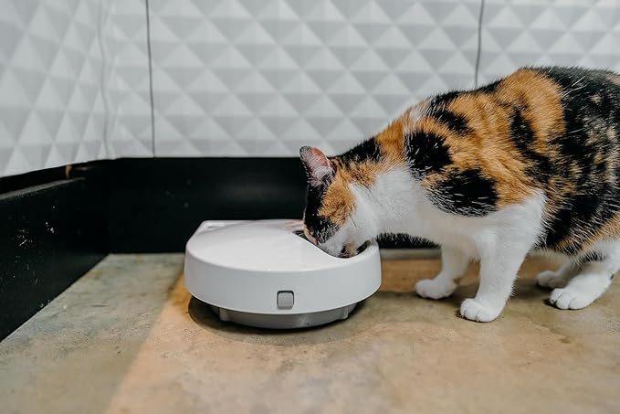 Cat Mate C500 Automatic Pet Feeder with Digital Timer for Cats and Small Dogs