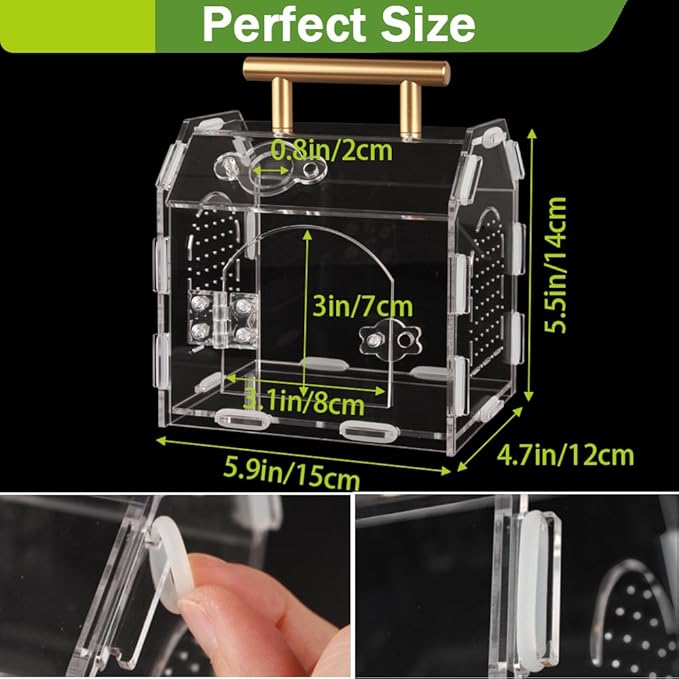 Jumping Spider Enclosure,Premium Acrylic Spider Enclosure - Ideal for Tarantulas, Reptiles, and Insects - Easy Assembly & Feeding - All-Round Transparent Terrarium