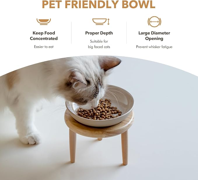 Havniva Elevated Cat Bowls, Cat Food and Water Bowl Set, Ceramic Cat Bowl | Raised Cat Food Bowls, Whisker Friendly, 5.6” Shallow Cat Dishes, Wide Cat Plates, Non-Slip Wood Stand, Two Heights