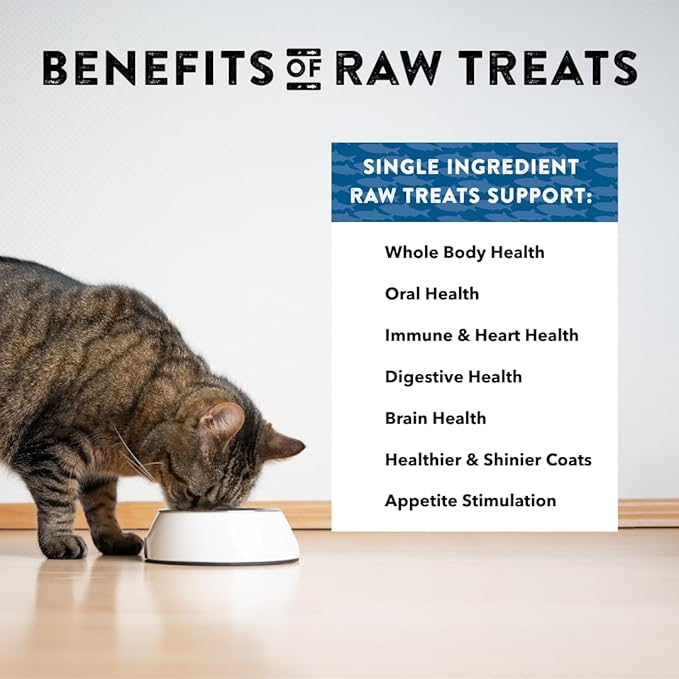Northwest Naturals Raw Rewards Freeze-Dried HerringTreats for Dogs and Cats - Bite-Sized Pieces - Healthy, 1 Ingredient, Human Grade Pet Food, All Natural, Proudly Made in USA, 13oz