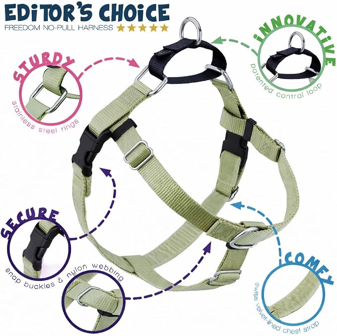 2 Hounds Design Freedom No Pull Dog Harness, Adjustable Harness and Leash Set, Easy Walking & Comfortable Control, Fits Small, Medium & Large Dogs, Solid Colors, Made in USA, 1" XL, Tan