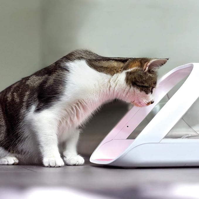 SureFeed Microchip Pet Feeder Connect - Requires Hub (Sold Separately)