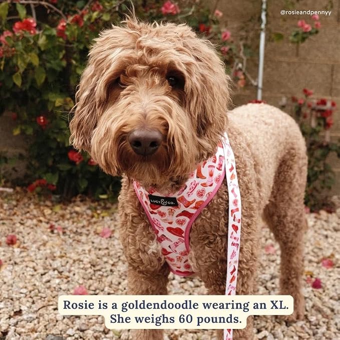 Lucy & Co. Reversible Dog Harness - Water-Repellent Neoprene, Dual-Print Design, Easy Swap Style, Adjustable Comfort Fit - Howdy Honey Reversible Harness - Large