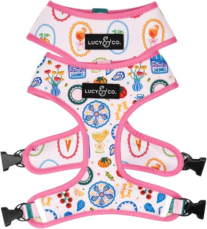 Lucy & Co. Dolce Vita Reversible Dog Harness, Adjustable Comfort Fit with Dual Leash Attachments, Small