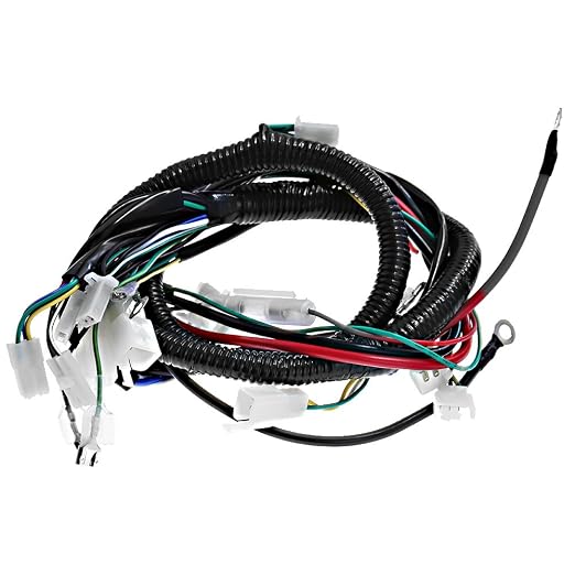 Hoypeyfiy Complete Electric Wiring Harness Wire Magneto Stator for GY6 150cc Performance Parts 4-Stroke Engine 125cc 150cc Pit Bike Scooter ATV Quad