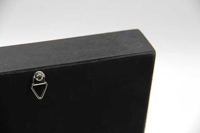 Real Giant Bird Eating Tarantula EURYPEIMA SPINCRUS Spider Taxidermy Transparent Boxed Display (Black Wooden Box)