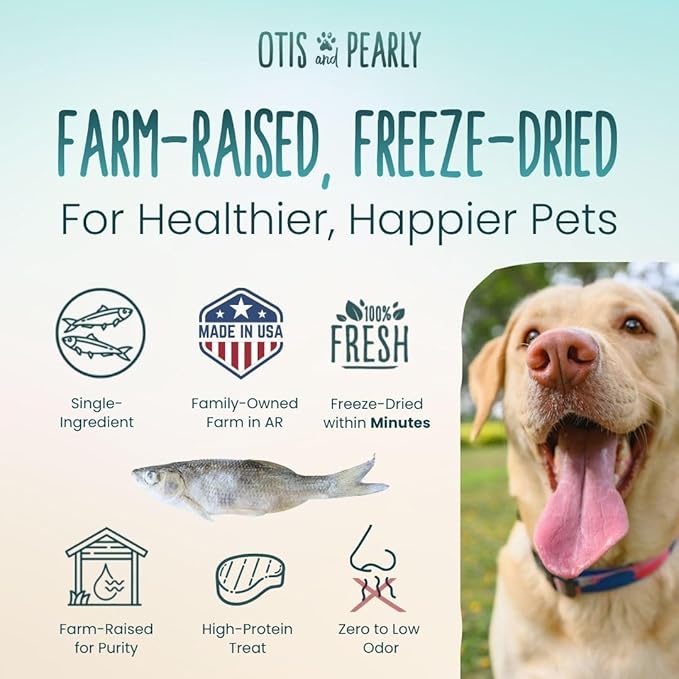 Otis & Pearly Freeze Dried Minnow Dog Treats - Single Ingredient, Made in USA - Healthy Protein Treat for Small, Medium, Large Breeds, 1 oz