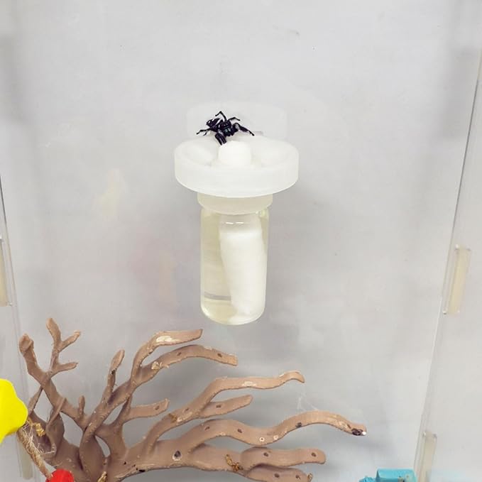 Jumping Spider Water Dispenser, Magnetic Hanging Feeder,Suitable for Jumping Spiders,Tarantulas, Praying Mantises,Arboreal Animals, and Other Small Animal Enclosure Accessories (Transparent, 5ML)