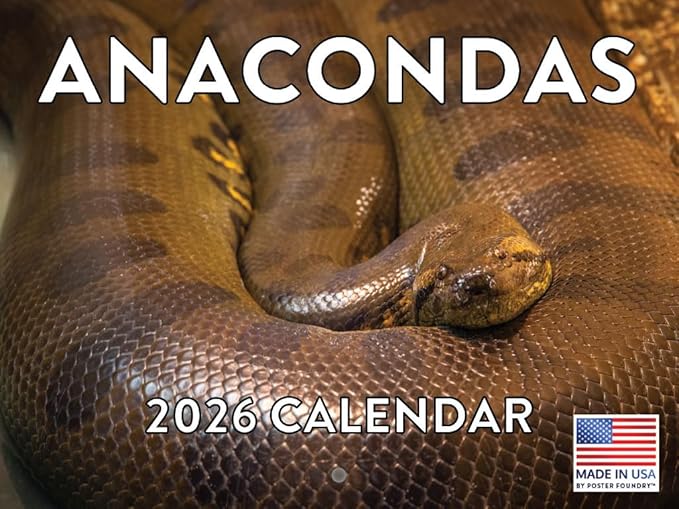 Anaconda Calendar 2026 Wall 12 Month Anacondas Gifts For Snake Lovers Women Men Monthly Calender| American Made In The USA
