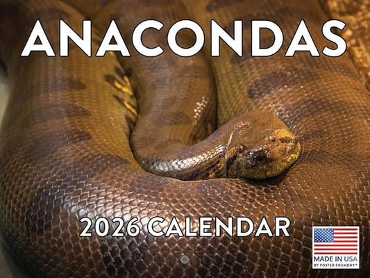 Anaconda Calendar 2026 Wall 12 Month Anacondas Gifts For Snake Lovers Women Men Monthly Calender| American Made In The USA