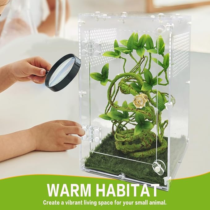 Jumping Spider Enclosure, Tarantula Enclosure with Front Opening Door, Reptile Enclosure Suitable for mantises, Spiders, Lizards, Frogs and Insects. (6x6x10 Inch, Assemble)
