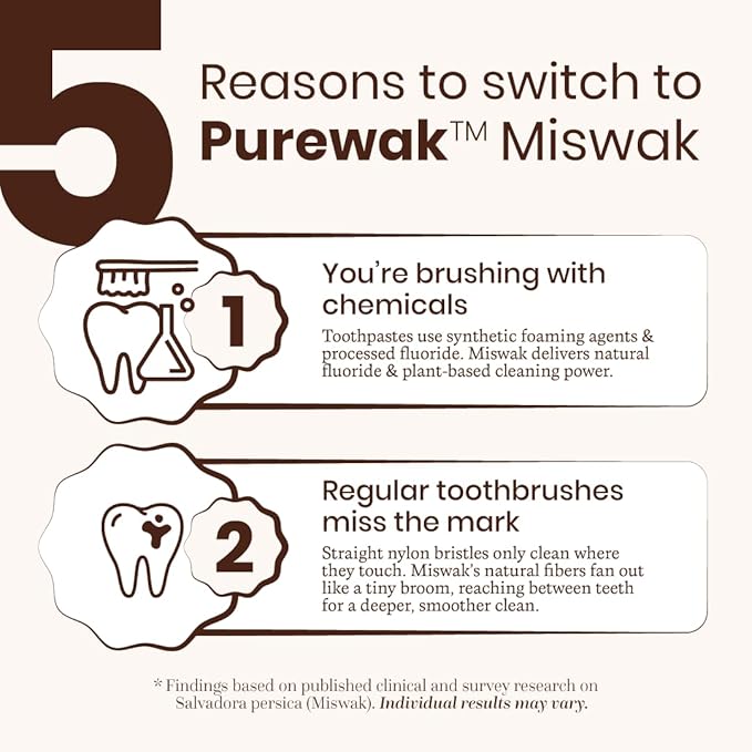 Miswak Sticks, 100% Natural Miswak, Whitens Naturally, Freshens Breath, Miswak Sticks, Traditional Tooth Cleaning Sticks, 3 Months Supply, 1 Pack, 12 Miswak Sticks with Holder.