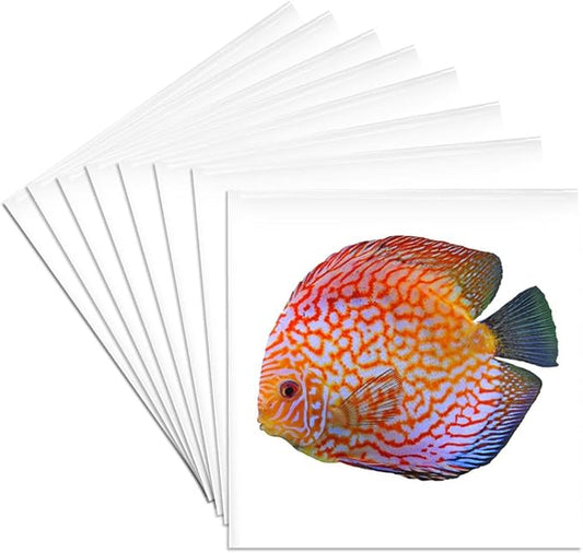 3dRose King of The Aquarium Discus Fish Image Wildlife Set of 8 Ceramic Tile Coasters