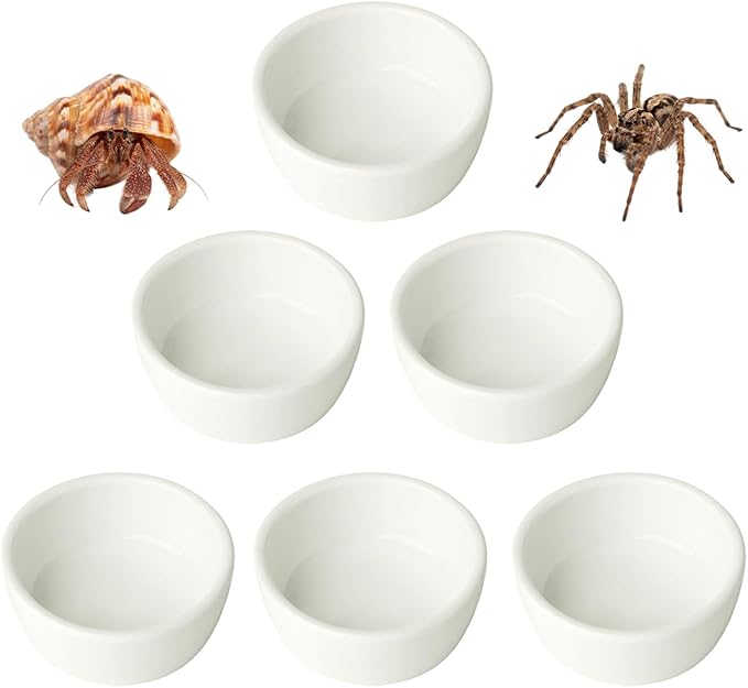 6 Pcs Spider Micro Ceramic Water Bowl, Mini Pet Dish for Spider Tarantula Scorpion Millipede Hermit Crab Tiny Reptile (1.5 oz)