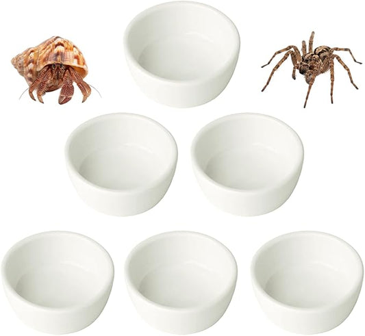 6 Pcs Spider Micro Ceramic Water Bowl, Mini Pet Dish for Spider Tarantula Scorpion Millipede Hermit Crab Tiny Reptile (1.5 oz)
