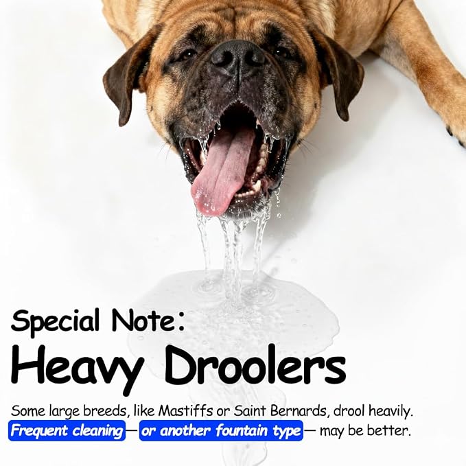 3 Gallon Stainless Steel Dog Water Fountain for Large Dogs, 11L Automatic Pet Water Dispenser with 2 Filters, Top-Fill Water-Level Window and Quiet Pump for Multiple Pets