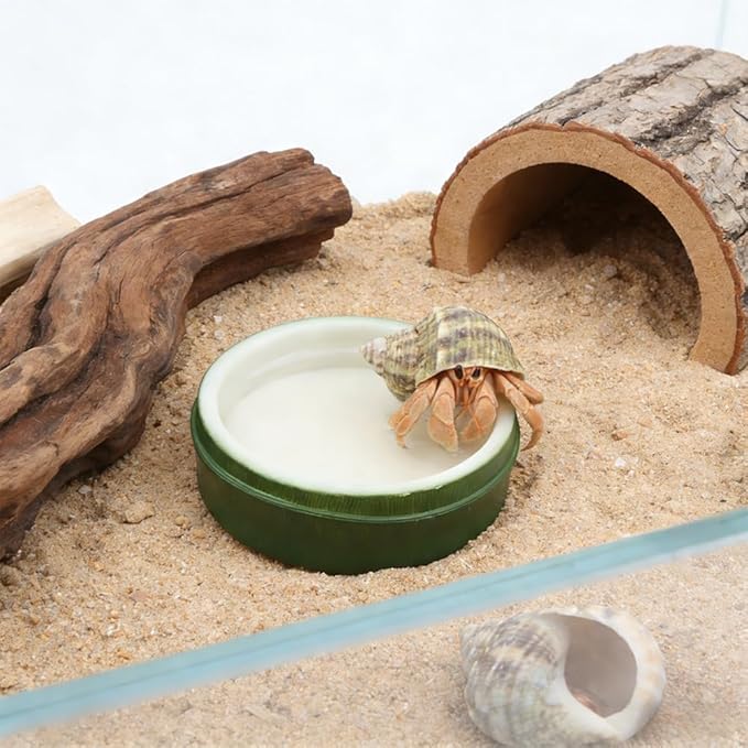 2 Pcs Snail Water and Food Bowl Hermit Crab Feeding Dish for Snail Crab Millipede Frog Tarantula Small Reptile