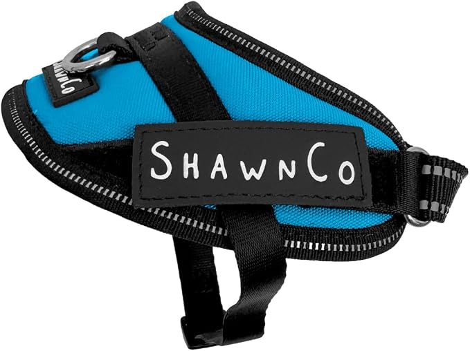 ShawnCo Essential Pro Dog Harness, No-Pull Pet Vest with Removable, Reflective Side Patches, Adjustable and Padded Harness for Small, Medium and Large Dogs (Oceanic Blue, XS)