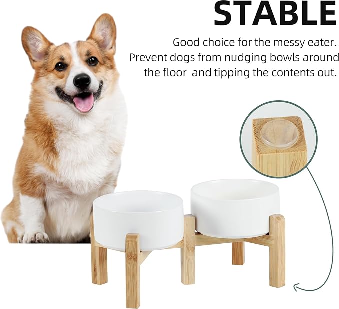 Havniva Dog Bowls Elevated, Ceramic Dog Food and Water Bowl Set | 6.1” Raised Dog Food Bowl, Elevated Dog Bowls with Bamboo Stand, Non-Slip Dog Water Bowl for Small Dog, Large Capacity