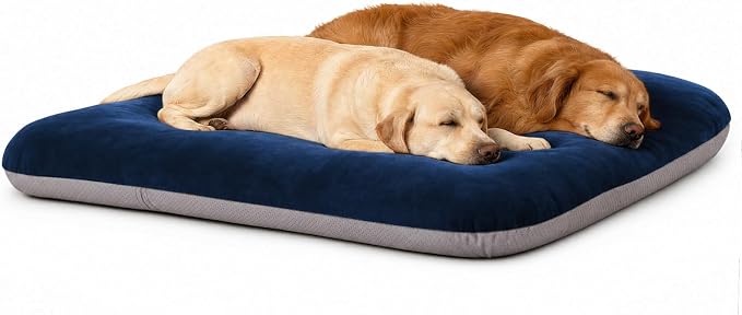Magic Dog Super Soft Extra Large Dog Bed Jumbo Pet Beds Orthopedic 47 Inch Washable Anti Slip Dog Sleeping Mattress with Removable Cover, Blue XL