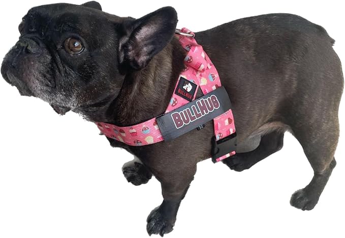 Adjustable Dog Harness– No Pull, No Choke – for English Bulldogs, French Bulldogs, Pugs & Broad-Chested Breeds – Easy, Safe Walks (Cups, Medium)