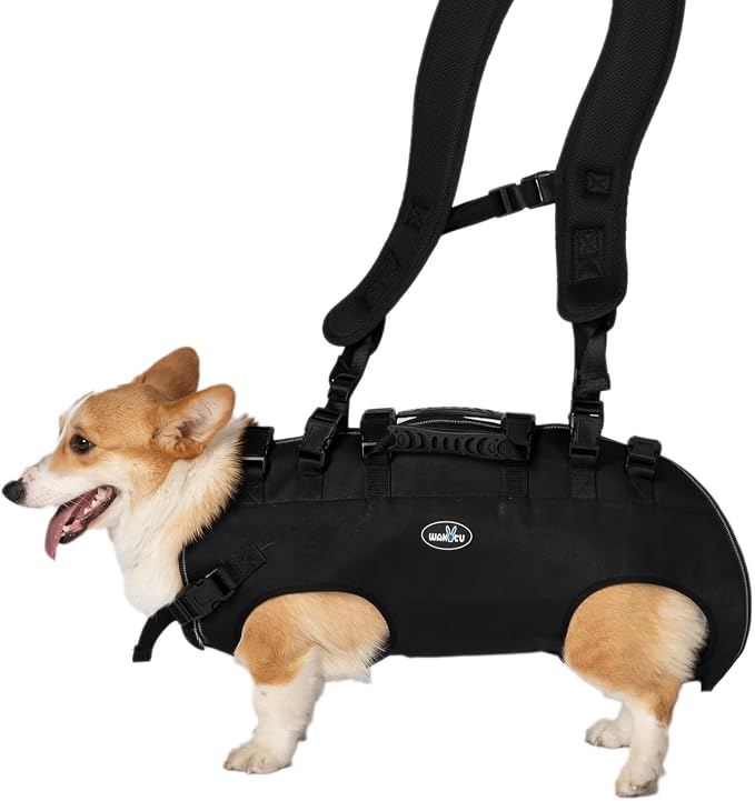 Dog Lift Harness, Pet Support & Rehabilitation Sling Lift Adjustable Padded Breathable Straps Dog Lift Harness for Dogs, Disabled, Joint Injuries, Arthritis, Loss of Stability Dogs Walk(16.5-33LBS) | Disabled, Joint Injuries, Arthritis, Loss of Stabili...