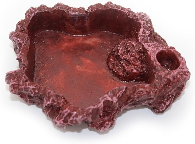OMEM Reptile Natural Bowl Food and Water Dish Resin Made (2PCS- Red S)