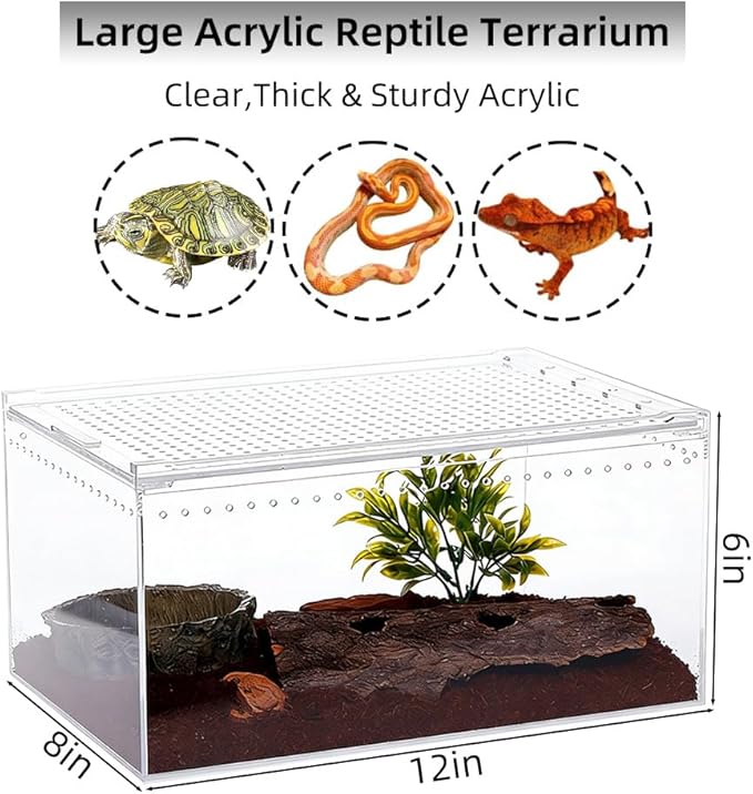 Acrylic Reptile Enclosure, No Assembly Small Reptile Breeding Box for Insect Tarantula Hermit Crab Jumping Spider (12x8x6 in)
