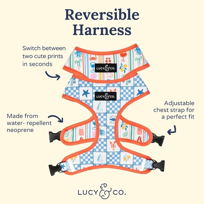 Lucy & Co. Sunny in Sicily Reversible Dog Harness, Adjustable Comfort Fit with Dual Leash Attachments, Medium