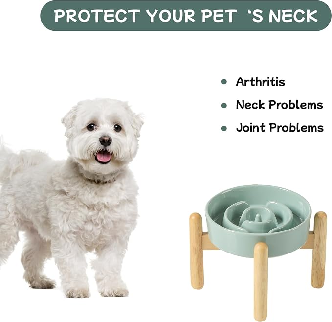 Havniva Elevated Slow Feeder Dog Bowls, Ceramic Dog Bowl Slow Feeder | 0.9 Cups Raised Slow Feeding Bowl for Small Breed, Puzzle Dog Food Bowl with Wooden Stand, Non-Slip, Anti-Choking