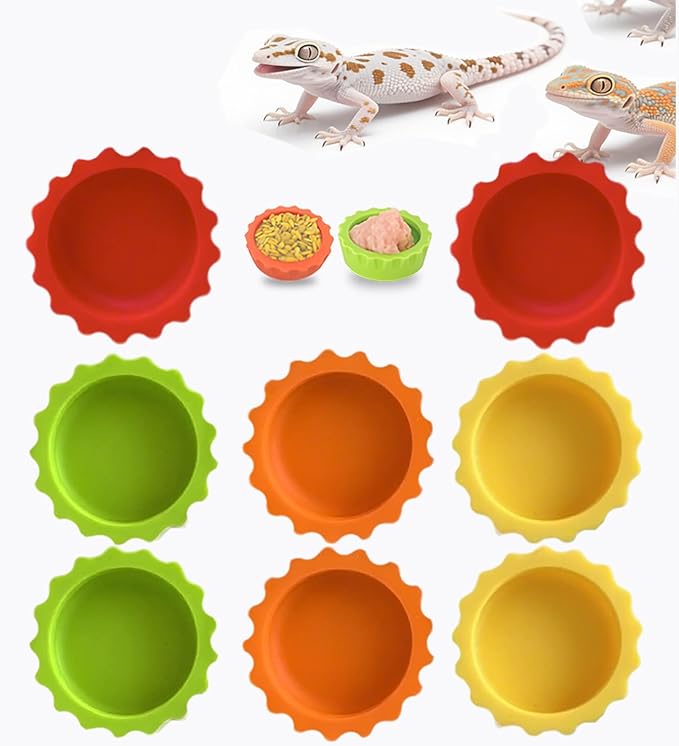 Meow&Woof 8 Pcs Reusable Silicone Reptile Feeding Cups – Bearded Dragon Water Bowl & Crested Gecko Food Dish, Habitat Tank Starter Kit Accessories for Turtle, Snake, Hermit Crab