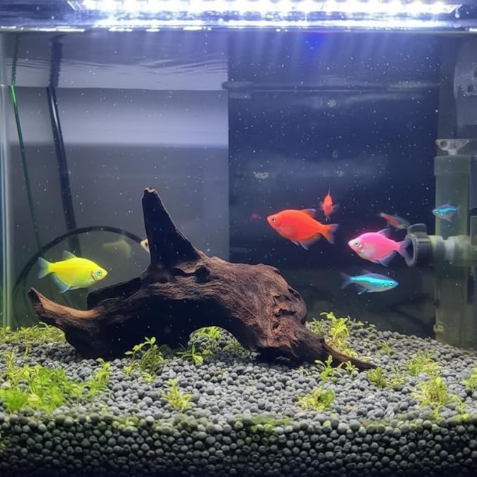 EmoursTM Aquarium Sinkable Driftwood Fish Tank Decoration (Small)