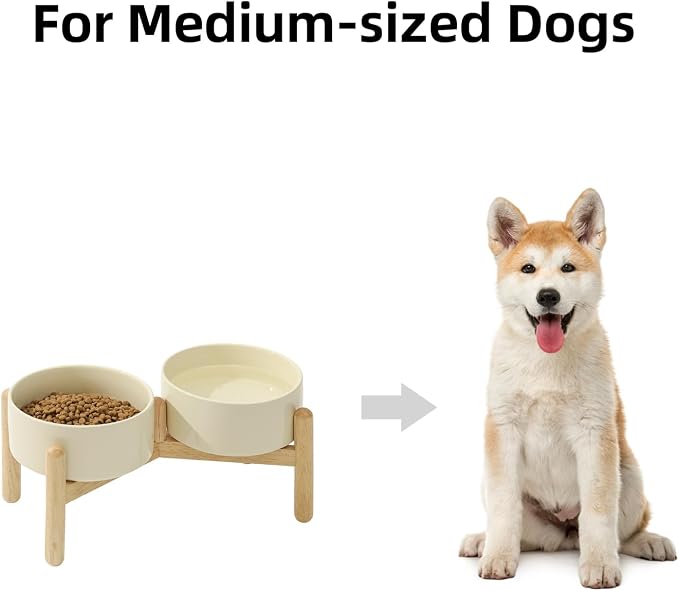 Havniva Elevated Dog Bowls Ceramic Dog Bowls with Stand, Dog Food Bowl | 6.1” Raised Dog Bowls with Non-Slip Wood Stand, Dog Food and Water Bowl Set, Double Dog Feeding Bowls for Small & Medium Dogs
