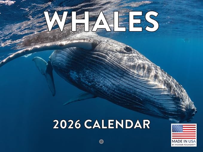 Whale Calendar 2026 Monthly Wall Calender 12 Month | American Made In The USA