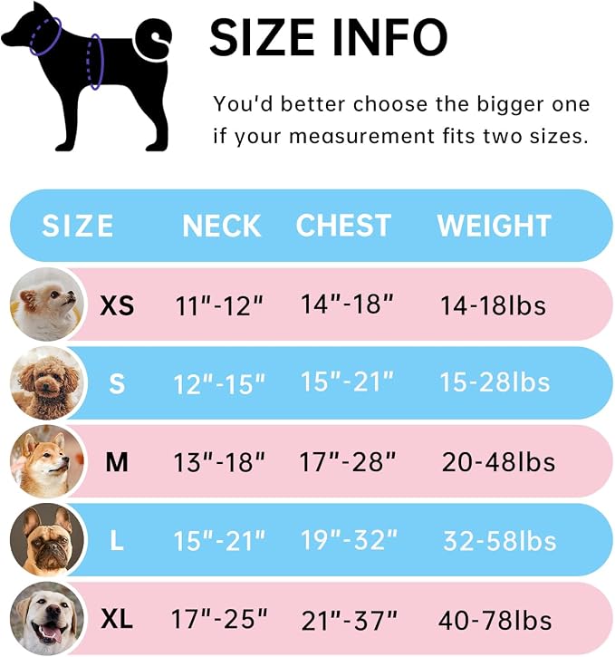 IVY&LANE No Pull Dog Harness with Leash Set, Reflective No Choke Pet Vest,Adjustable Oxford Dog Vest Harness with Easy Control Handle for Small Dogs (Checkered Blue,S)