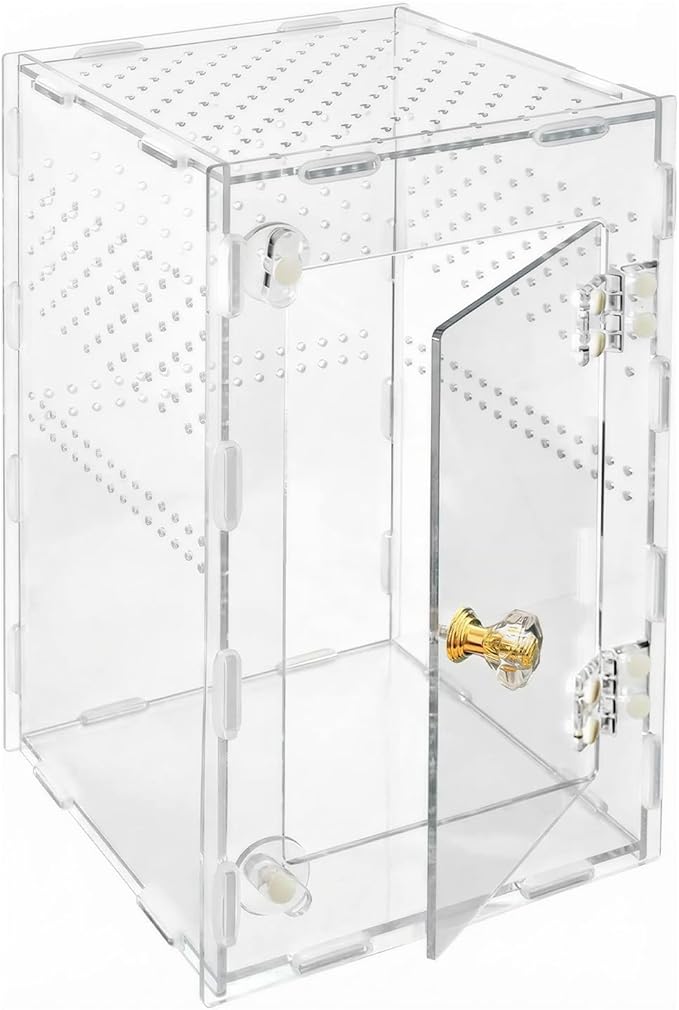Jumping Spider Enclosure, Acrylic Terrarium for Tarantula & Reptiles, Front Opening Door Habitat for Spiders, Mantis, Frogs & Lizards (10x6x6 Inch)