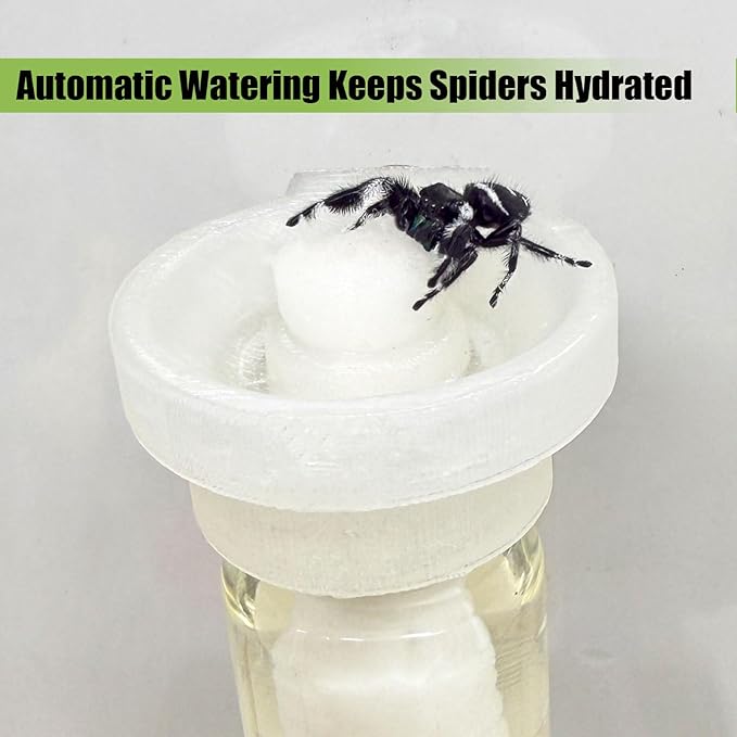Jumping Spider Water Dispenser, Magnetic Hanging Feeder,Suitable for Jumping Spiders,Tarantulas, Praying Mantises,Arboreal Animals, and Other Small Animal Enclosure Accessories (Transparent, 5ML)