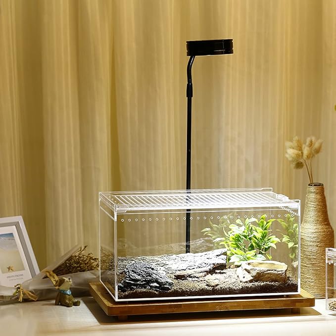 NANEEZOO Magnetic Large Enclosure 2.5 Gallon 12 x 8 x 6 Inch Reptile Breeding Box Terrarium Cage for Insect Tarantulas Amphibians Caterpillars Snail Clear Reptile Feeding Box