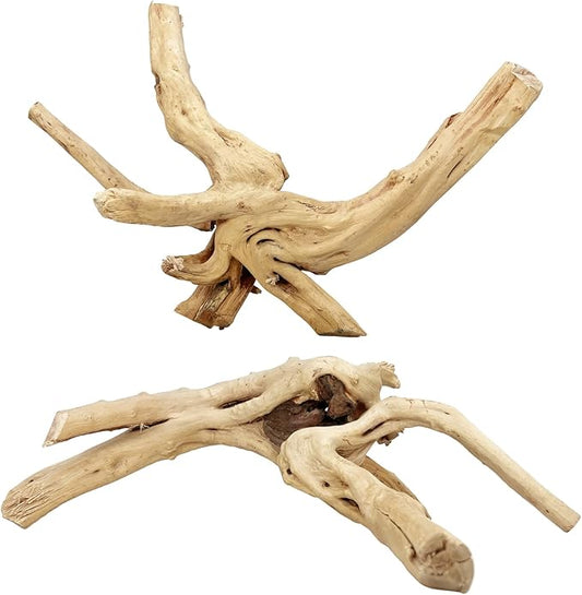 2 PCS Large Natural Spider Wood for Aquarium 12-16", Aquarium Drift Wood, Assorted Size Spider Wood, Twisted Branches Trunk for Fish Tank, Aquascaping, Reptile Climbing Branch, Terrarium Decor