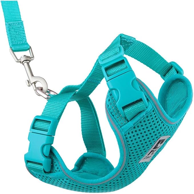 RC Pets Adventure Kitty Cat Harness | Adjustable Airmesh Vest with D-Ring and 6ft Leash for Walking and Travel | Teal, Large